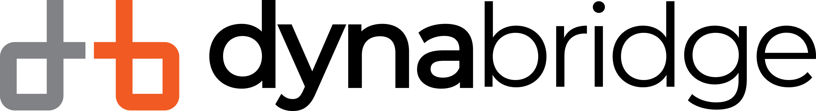 Dynabridge